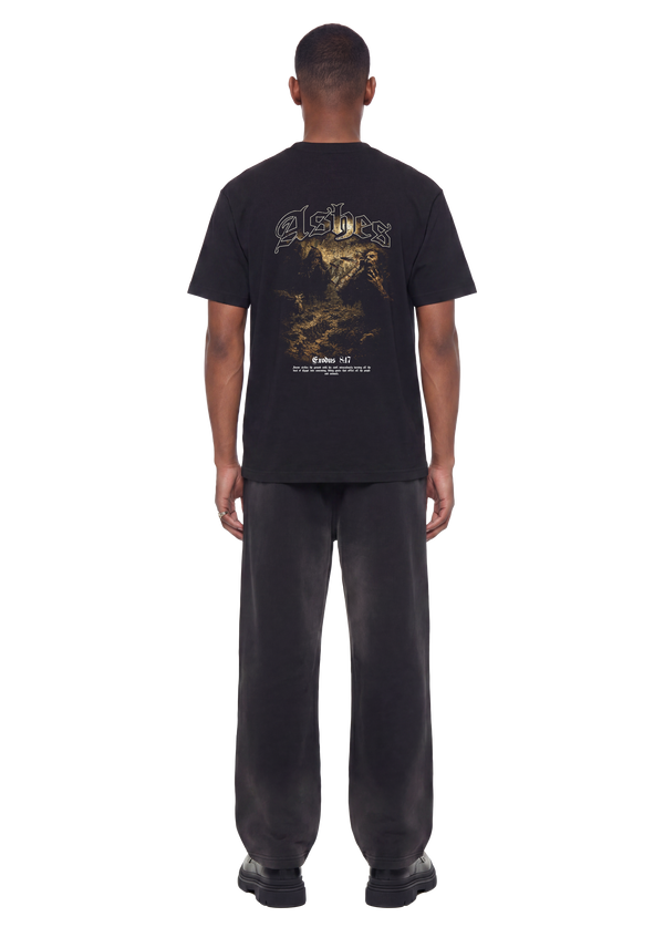 Ashes Oversized Cotton T-Shirt